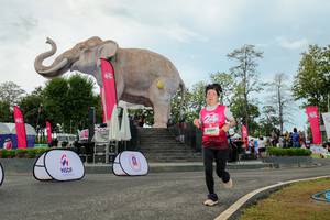 BIB: 
                            <button type="button" onclick="openModal(26528958)" class="btn btn-primary btn-sm float-right btn-popup" data-toggle="modal" data-target=".modal-high-quality">
                        <i class="fas fa-shopping-cart"></i> Add to Cart
                    </button>
                                            <button type="button" onclick="isThisMe(26528958, true)" class="btn btn-success btn-sm float-right btn-popup btn-isme hidden" data-toggle="tooltip" data-placement="bottom" title="นี่คือรูปของคุณใช่ไหม คลิกที่นี่เพื่อเอาเข้าอัลบั้ม">
                        <i class="fas fa-plus"></i> Add to album
                    </button>
                    <button type="button" onclick="isThisMe(26528958, false)" class="btn btn-warning btn-sm float-right btn-popup btn-isnotme hidden">
                        <i class="fas fa-ban"></i> Remove from album
                    </button>